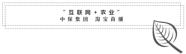 中保农药1.png