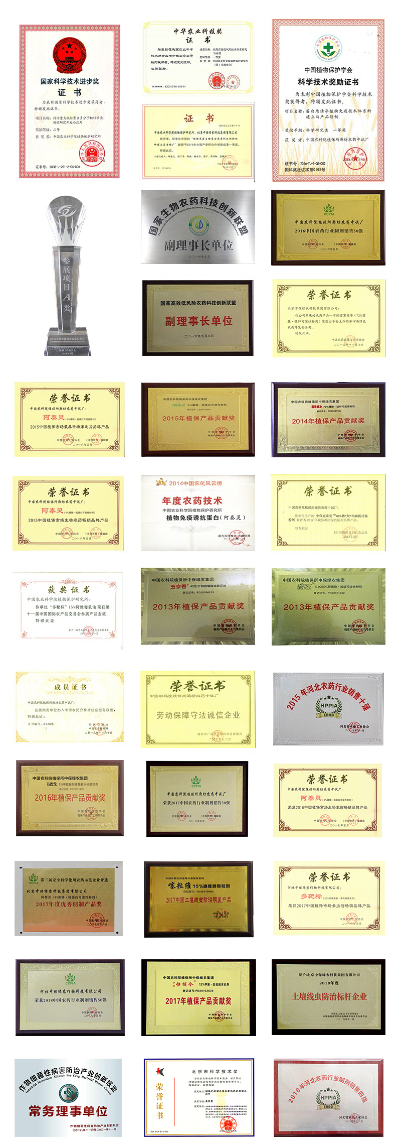 獲獎證書集錦.jpg