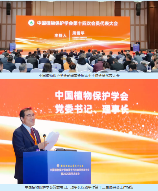 lQLPKGNI9NwEvF_NAmbNAfuw8YY4dgDSkp0I8deiHe1JAA_507_614.png lQLPKGNI9NwEvF_NAmbNAfuw8YY4dgDSkp0I8deiHe1JAA_507_614.png