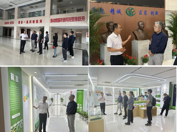 组图.png